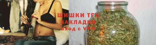 эйфоретик Гусев