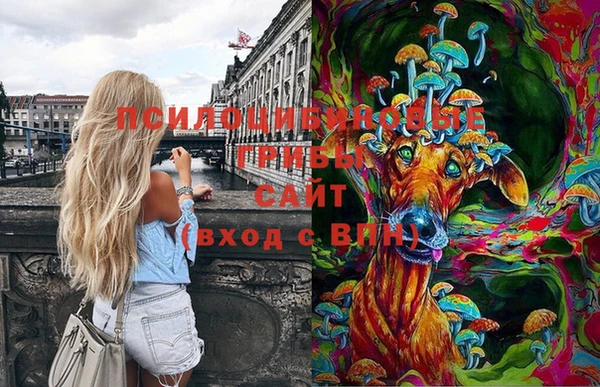 MESCALINE Гусиноозёрск